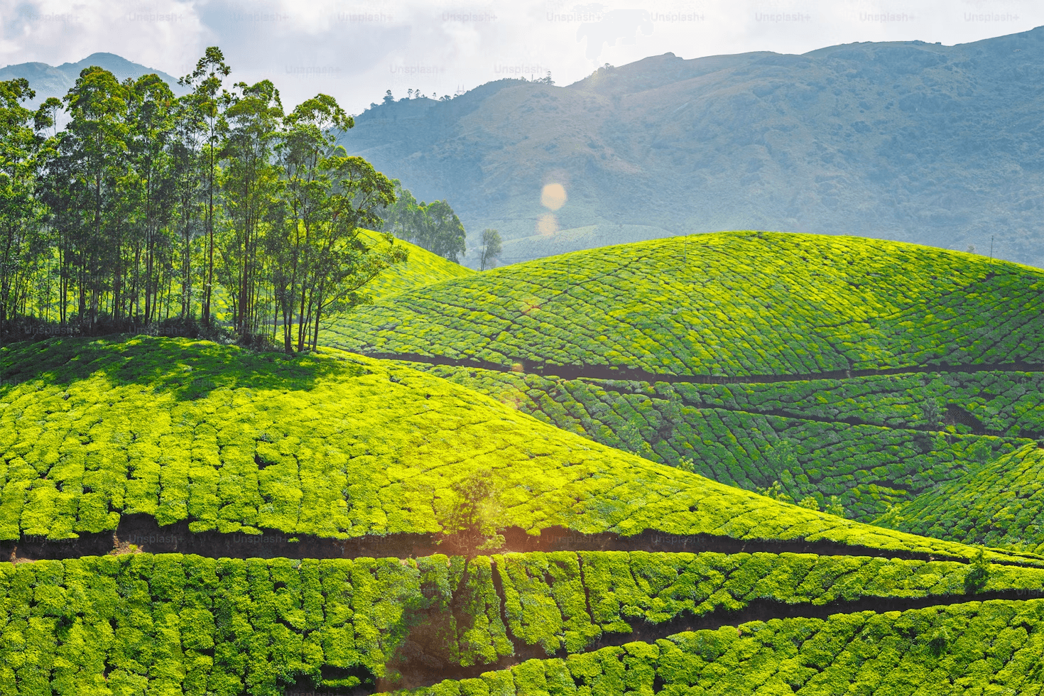 Pesona Pagi di Topo Indah, Destinasi Ekowisata Baru Tahun Ini