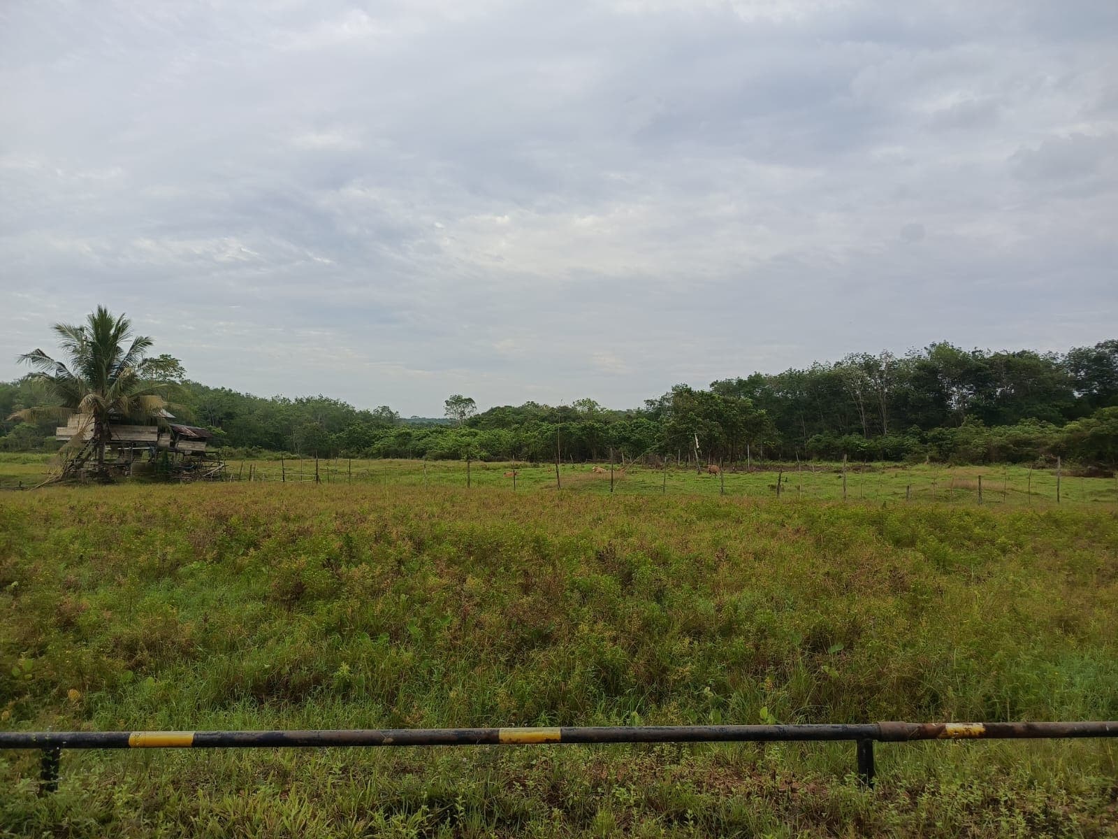 Membangun Dusun Topo Indah yang Lebih Mandiri dan Sejahtera
